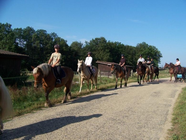  Paseo a caballo en Treffort 